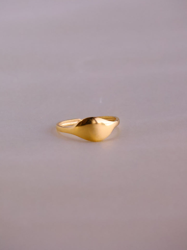 puku ring